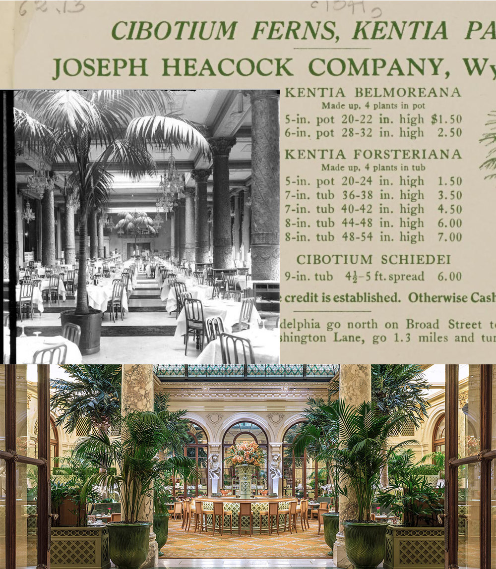 The Palm Court at The Plaza Hotel New York