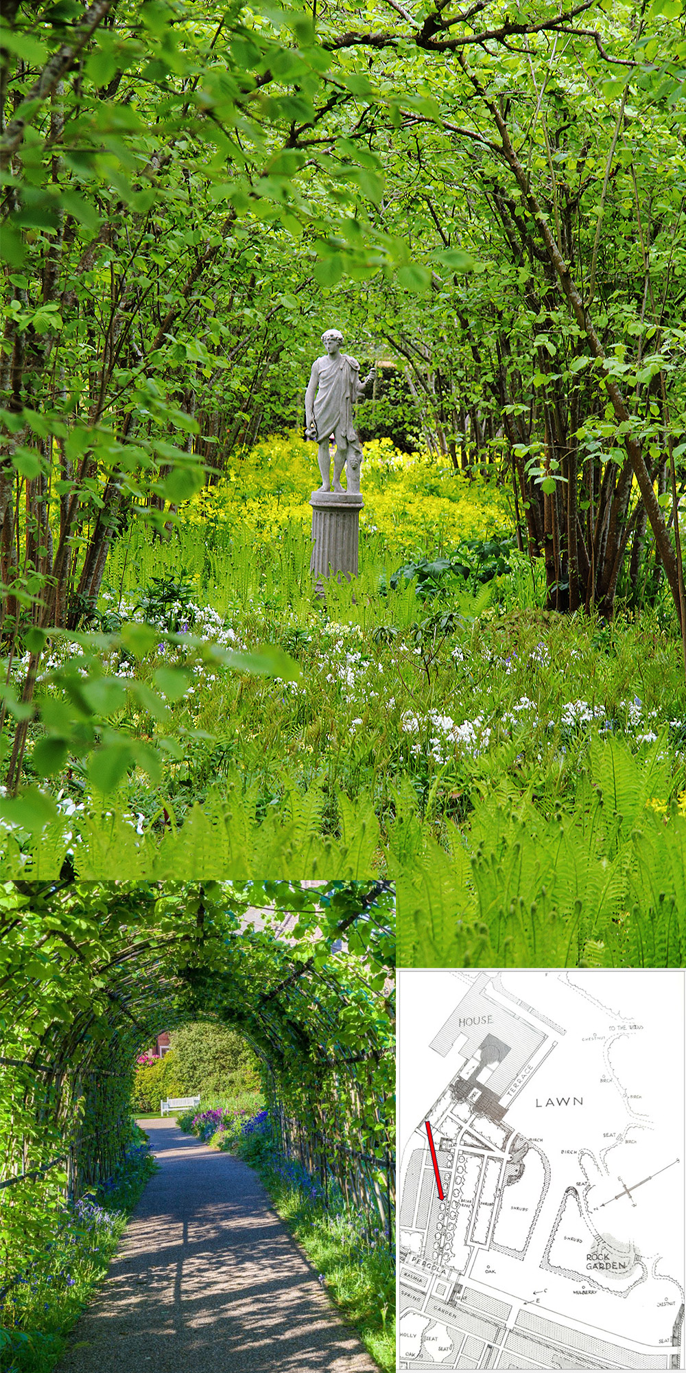 Composite image showing nutwalks.
